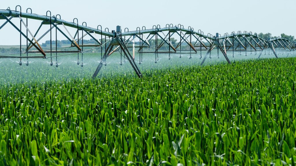 Bewässerungsanlage besprüht ein landwirtschaftliches Feld