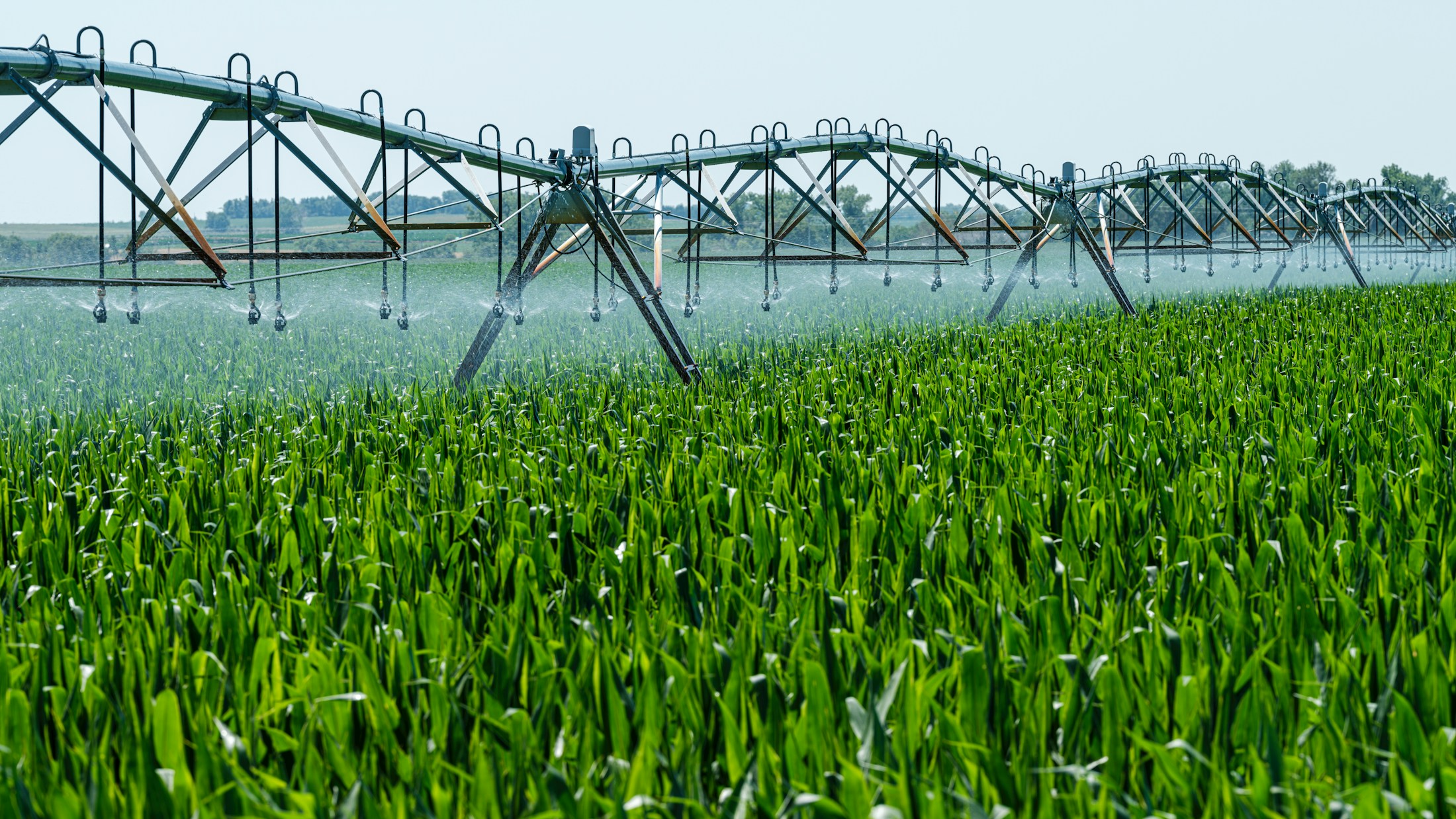 Bewässerungsanlage besprüht ein landwirtschaftliches Feld